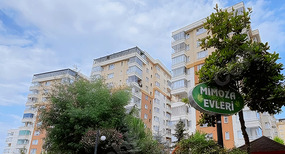 Mimoza Evleri